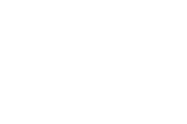 DELMANS