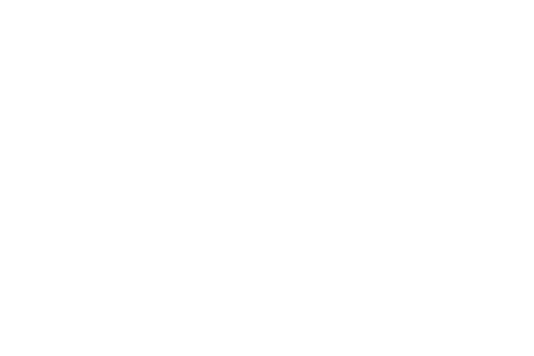 DIAN
